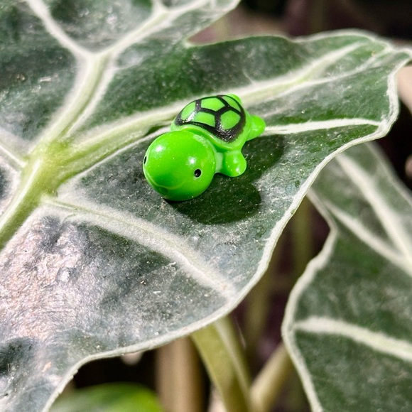 🍃10 pack PLANT MAGNETS!🍃 - Picture 6 of 14